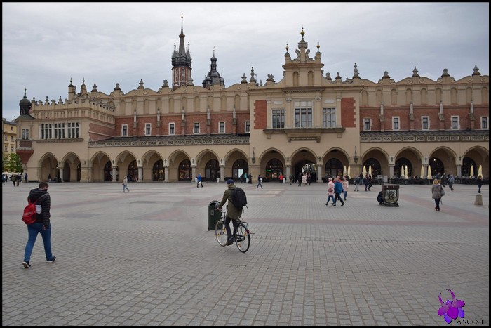Les halles de Cracovie