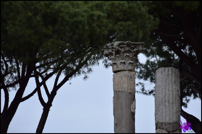 Chapiteau de colonne à Ostia Antica