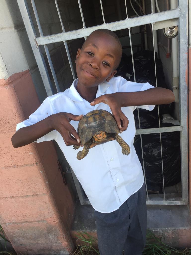 Leo präsentiert die auf dem Schulhof gefundene Schildkröte