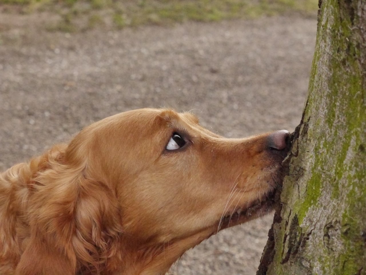 "...mmmmmhhhhh lecker"
