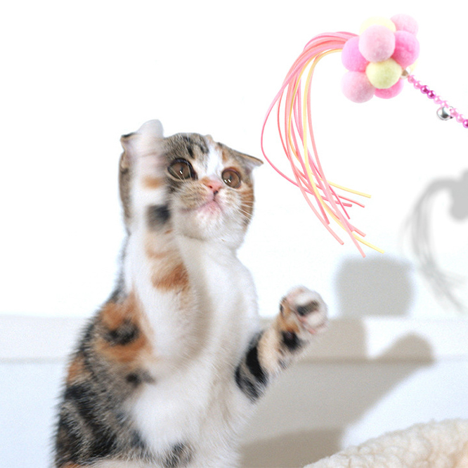 おもちゃ (猫用品) 20％OFFクーポン配布中 - おすすめペット