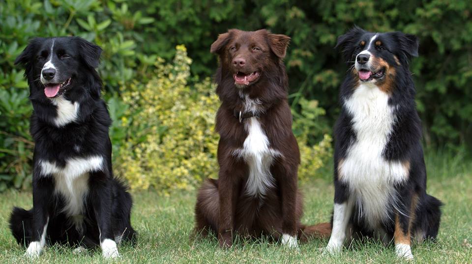 Drei Generationen: Java mit Sohn Balu und Oma Cleo