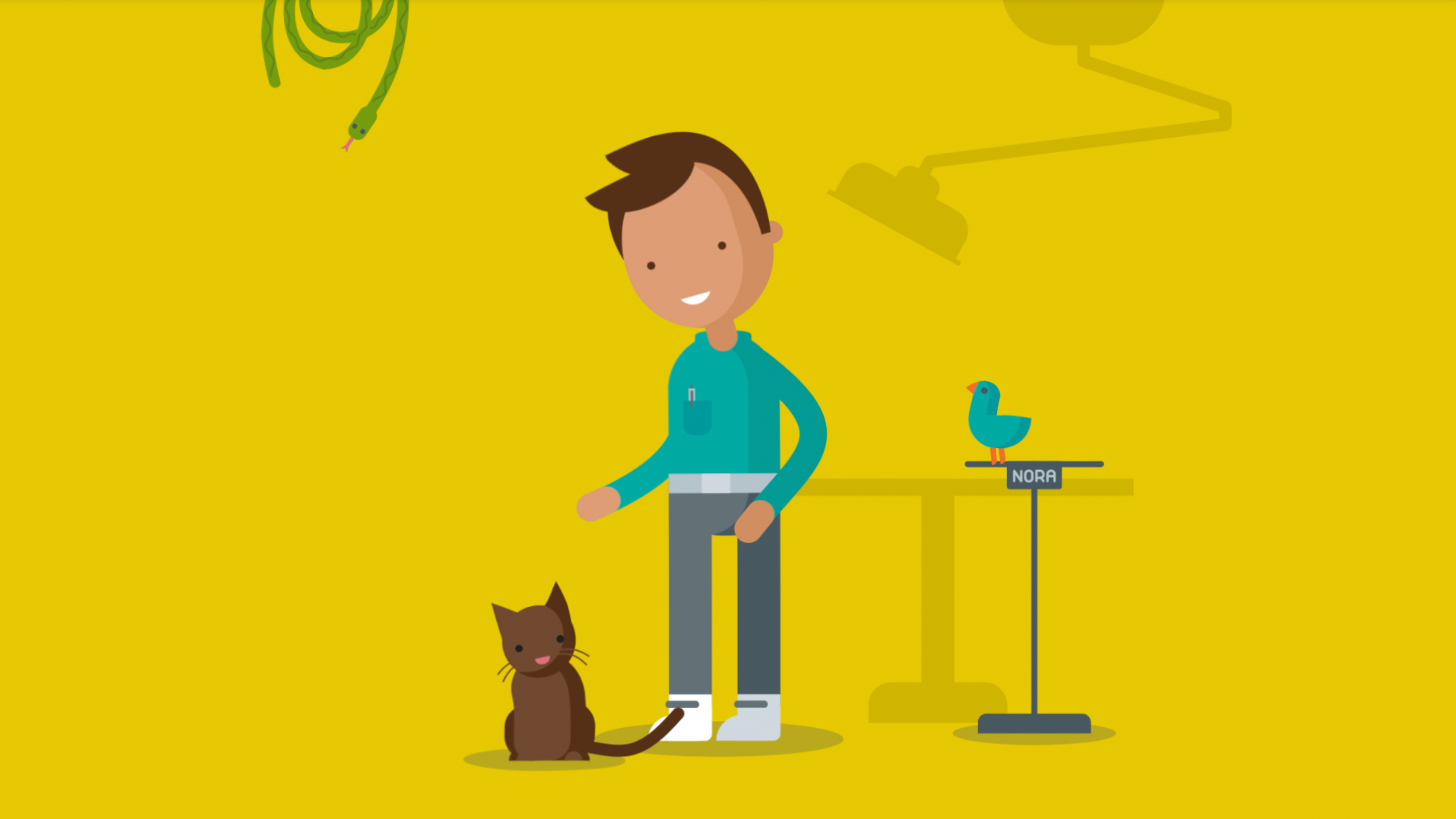 Als Tierarzt eine Katze zu behandeln © Michael Stünzi