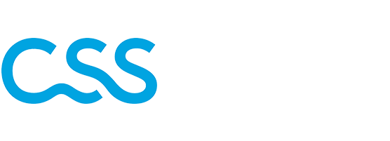 CSS