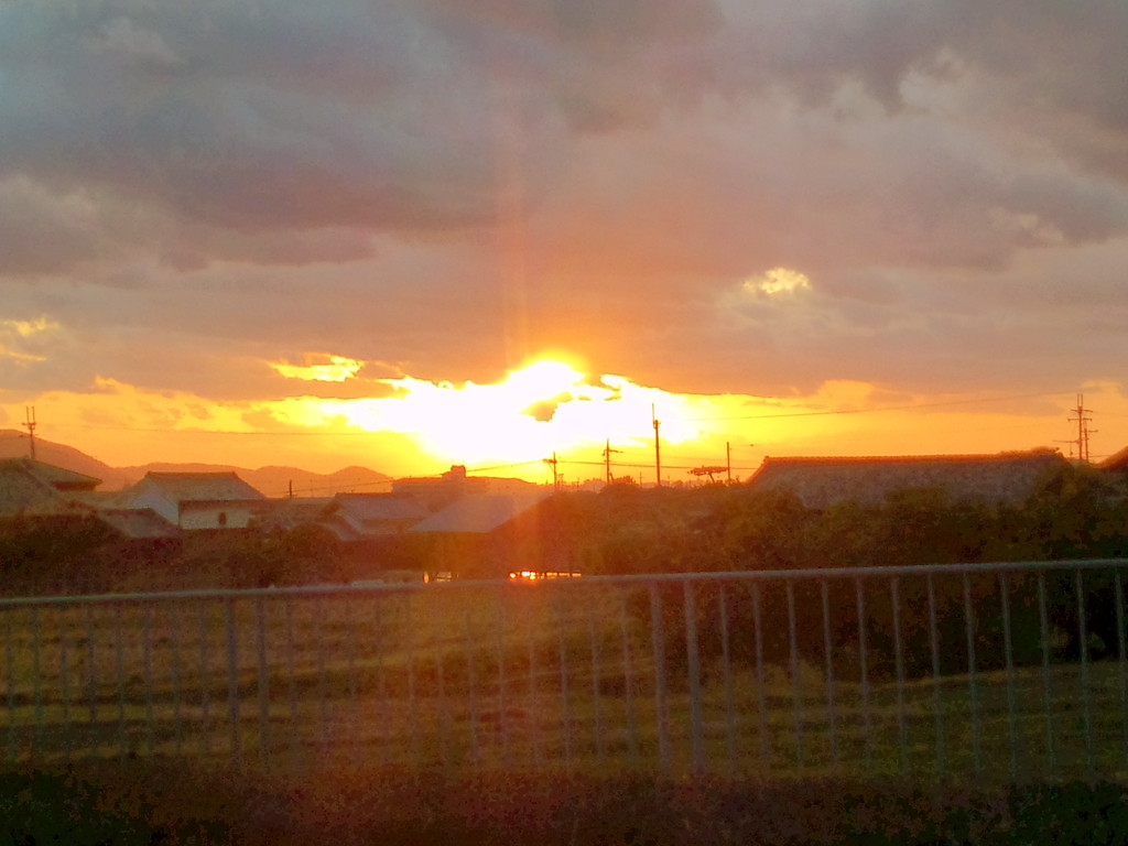 思わず車を停めて写真を撮りました♪