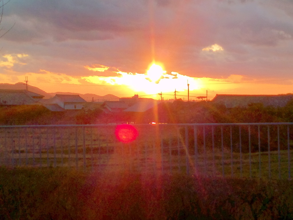 ２枚目(^^♪　　本当は太陽がはっきり見えたのに形が写ってないのが残念。。。