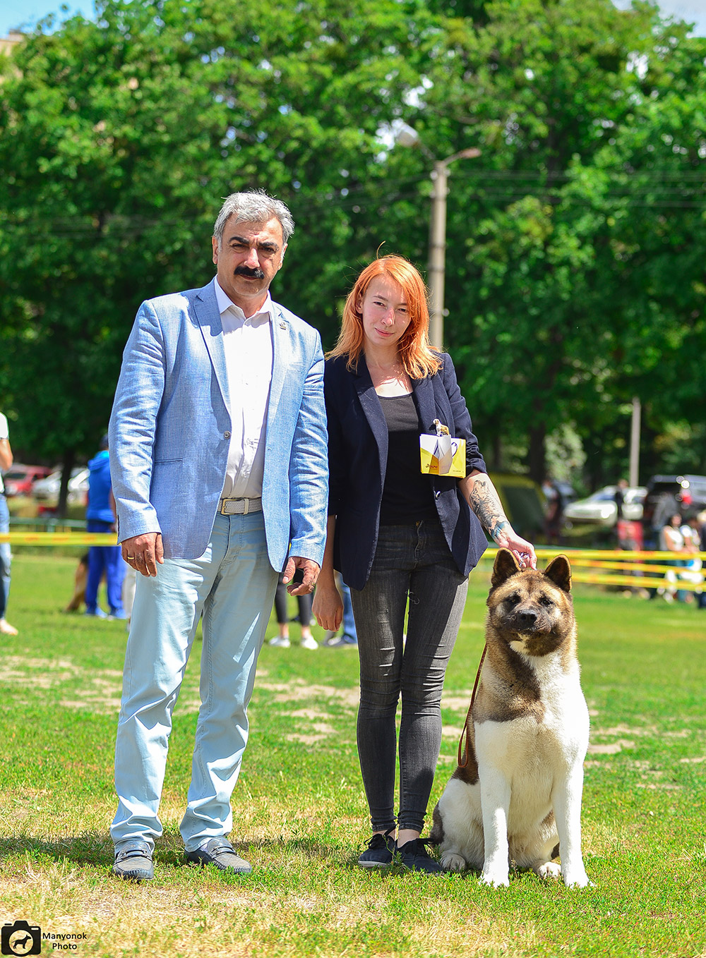 Американская акита SIBERIAN HUNTER DAISY BEAUTY (KIRA)