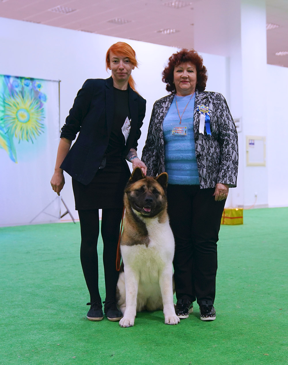 American Akita SIBERIAN HUNTER DAISY BEAUTY (KIRA)