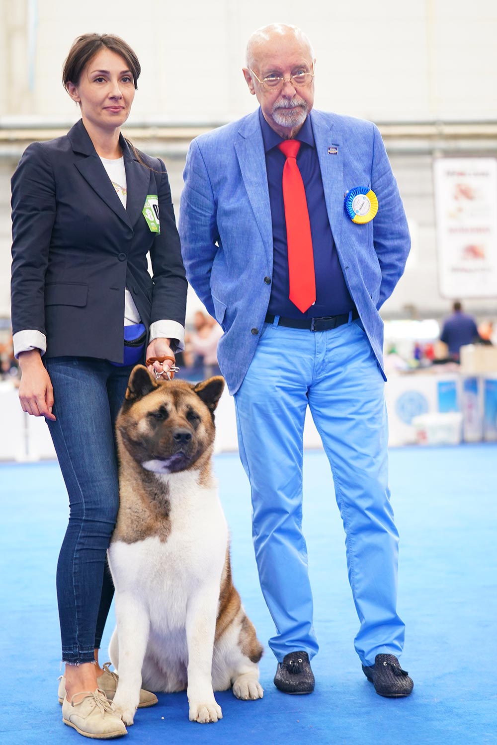 American Akita SIBERIAN HUNTER DAISY BEAUTY (KIRA)