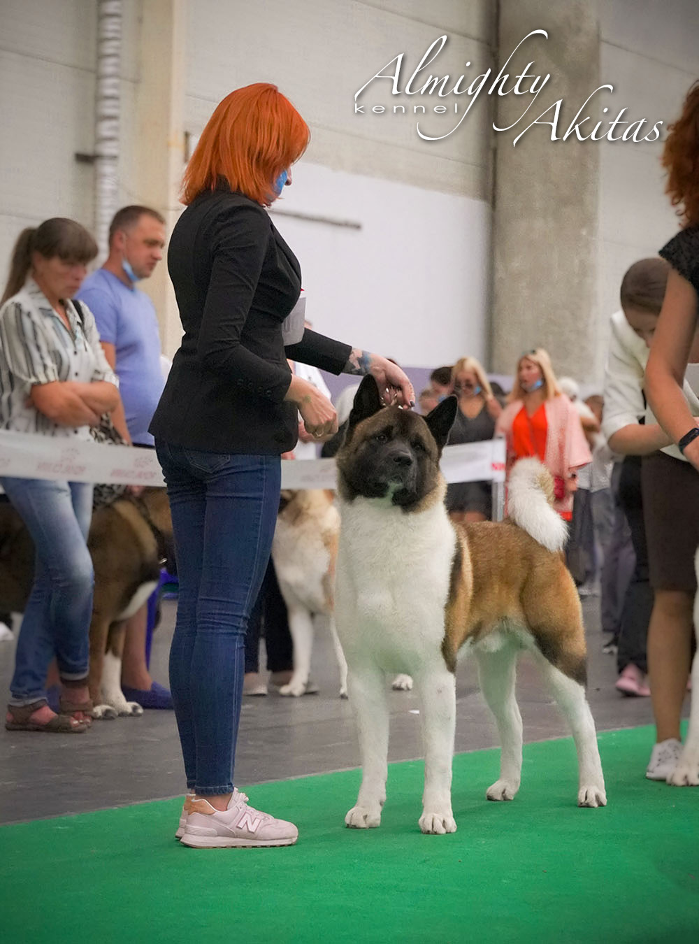 American akita ALL FOR ALMIGHTY BEFORE HEAVEN