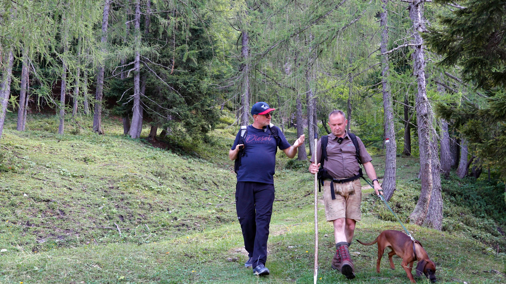 Unterwegs mit Nationalpark-Ranger Roman Paumann