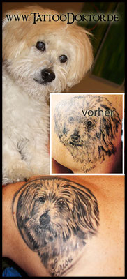 Tattoo Portrait Hund Rostock, TattooRitual