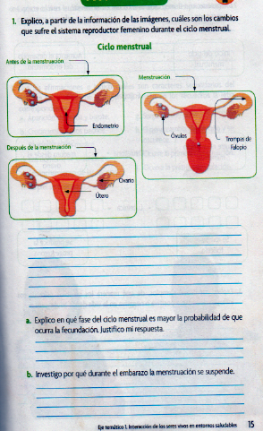 Copie esta practica y la contesta.