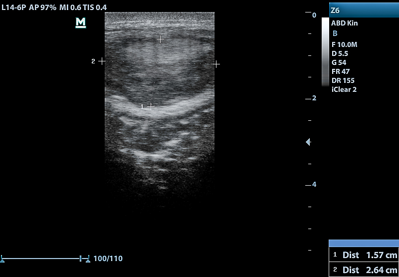 Neuweltkameliden - tierarztpraxismarweess Webseite!
