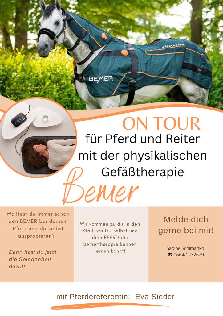 sabine-schimanko.bemergroup.com