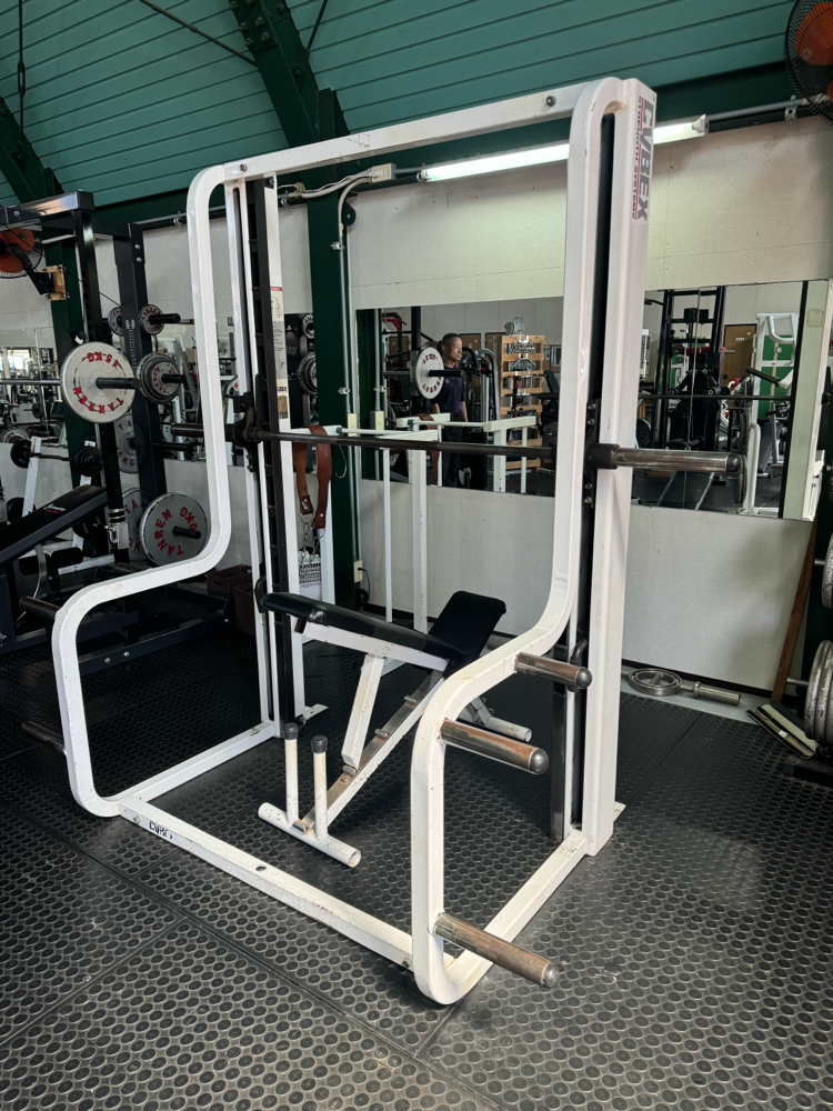 鉄人トレーニングジム - kotetu6969 ページ！