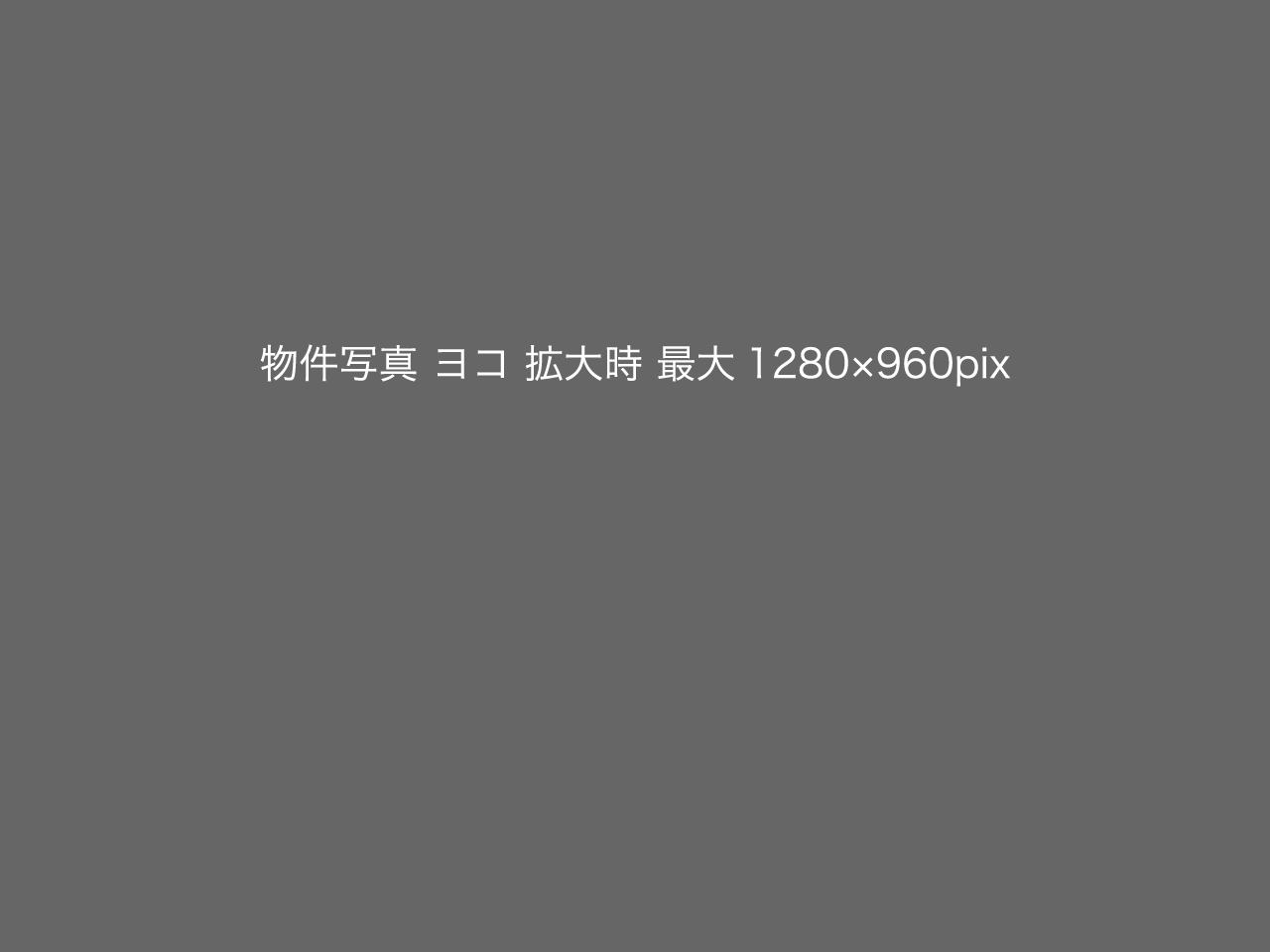 ここに写真説明 キャプション