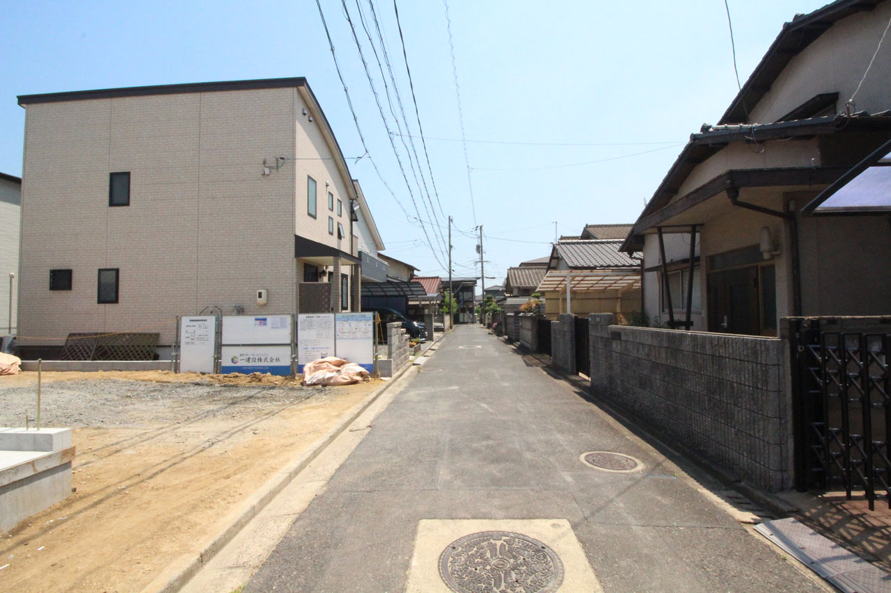6月中旬撮影