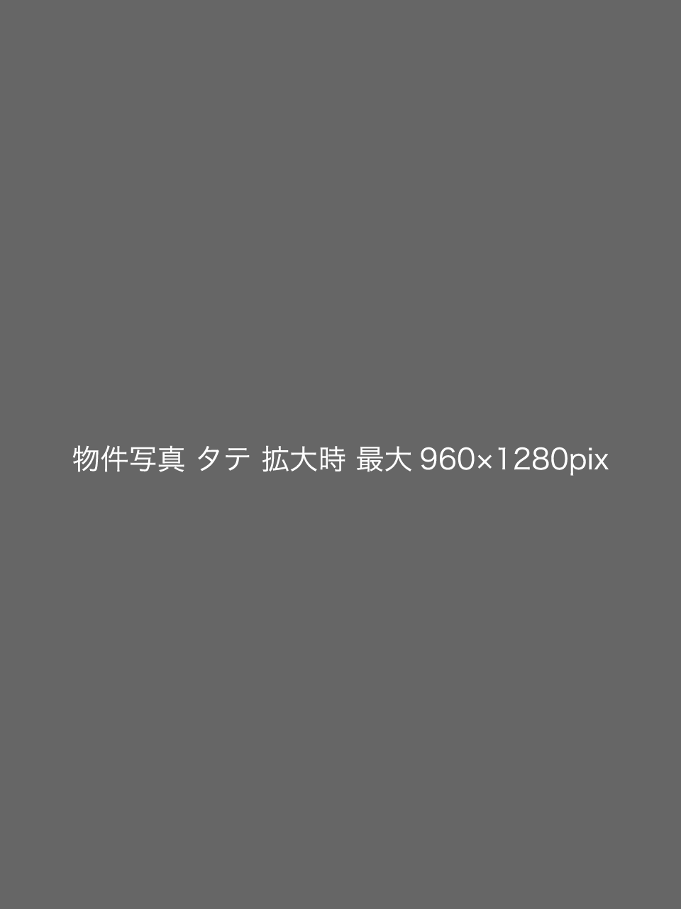 ここに写真説明 キャプション