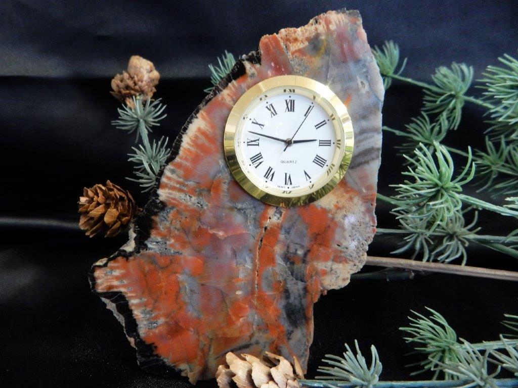 Versteinertes Holz