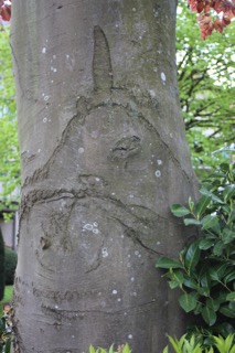 Herbert