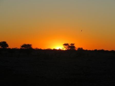 Sonnenuntergang im Etosha Nationalpark