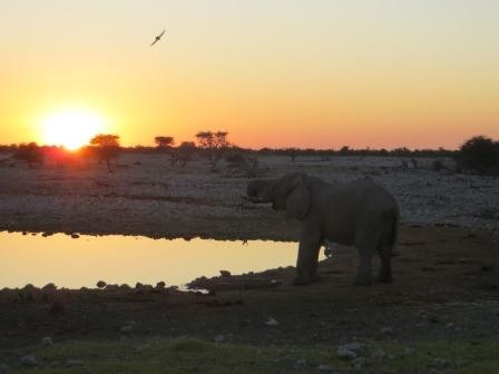 Abendstimmung am Okaukuejo Wasserloch