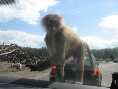 Serengeti-Park Hodenhagen
