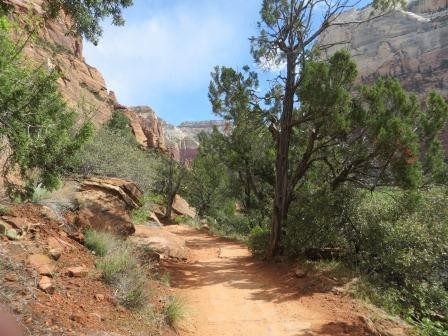 Auf dem Grotto Trail im Zion Nationalpark