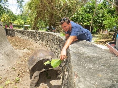 Rießenschildkröten im L´Union Estate