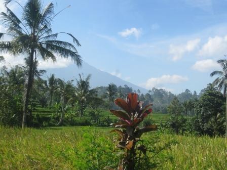 Impressionen von Java