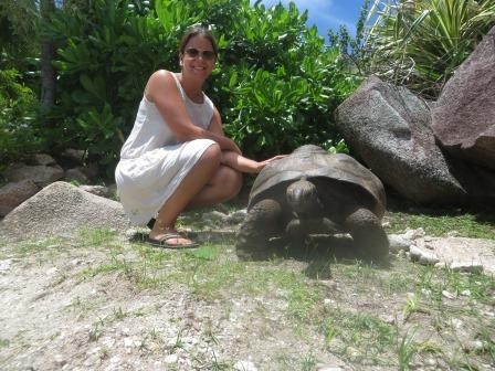 Rießenschildkröten auf La Digue