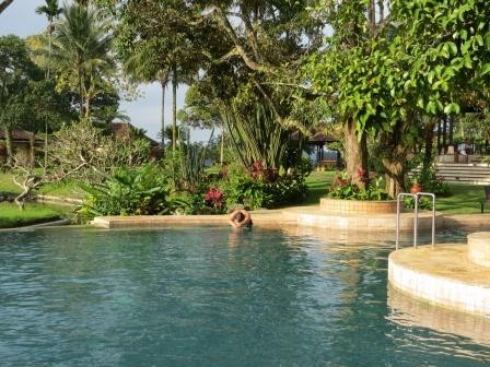 Schöner Pool im Grünen