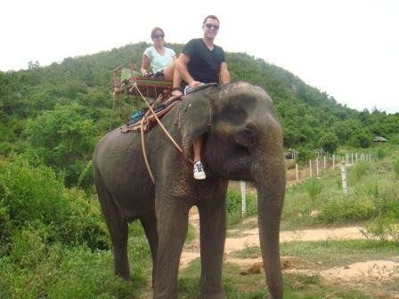 Dumbo-Riding