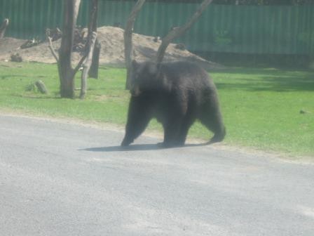 Serengeti-Park Hodenhagen