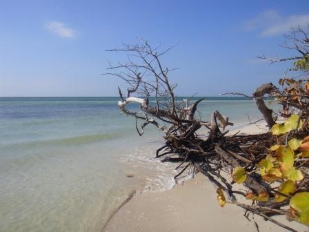 Bahia Honda State Park