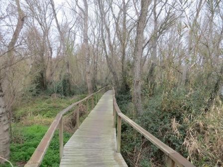 Holzbohlenweg am Rio Cinca