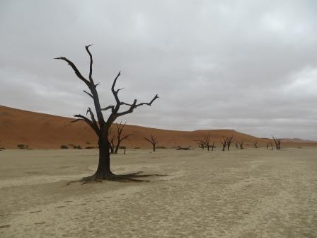 Mystische Stimmung im Deadvlei