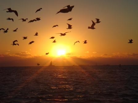 Sonnenuntergang am Mallory Square