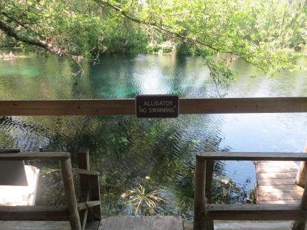 Impressionen aus dem Silver Springs State Park