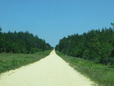 Der Black Bear Scenic Trail