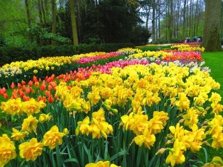 Keukenhof Gartenanlagen