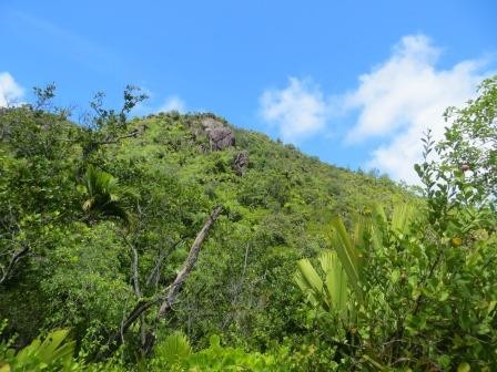 Wanderung auf dem Salazie-Track