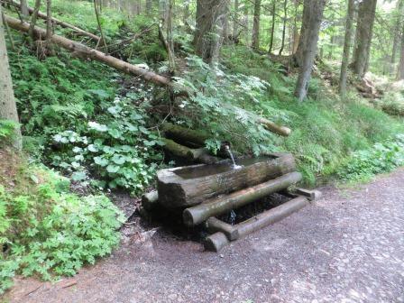 Wanderung zur Turnerova-Hütte 