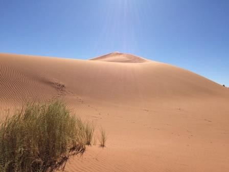 tolle Sanddünen im NamibRand Nature Reserve