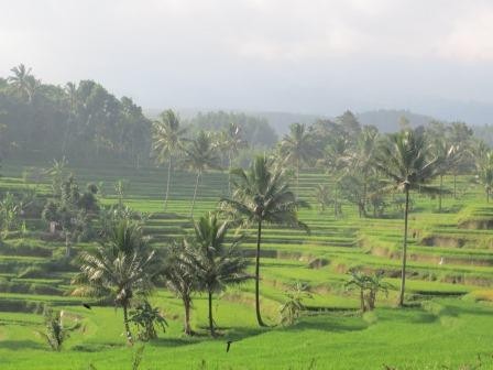 Impressionen von Java