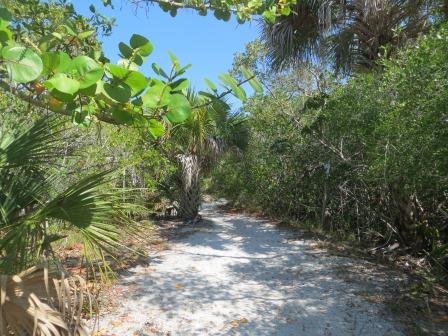 Wanderwege JN Darling National Wildlife Refuge