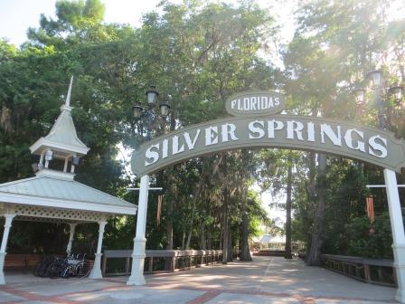 Impressionen aus dem Silver Springs State Park