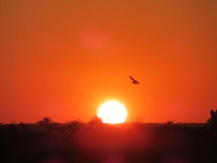 Etosha Nationalpark - Sonnenuntergang im Namutoni