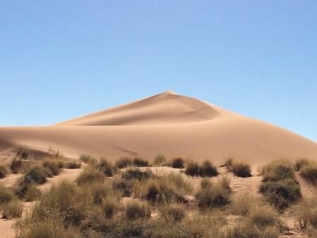 tolle Sanddünen im NamibRand Nature Reserve